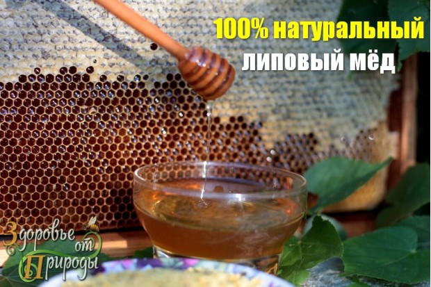 Мёд липовый натуральный для здоровья