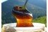 Каштановый мёд натуральный с гор